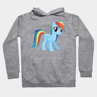 Rainbow Dash Hoodie